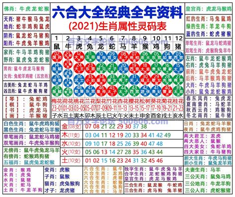 2024年什麼生肖|2024完整生肖表图 正宗版2024生肖卡表